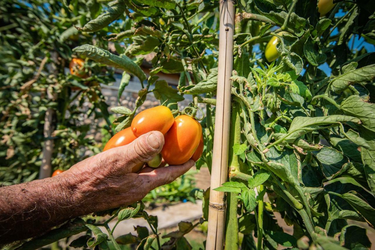 Agriturismo La Pertica Βίλα Costermano Εξωτερικό φωτογραφία