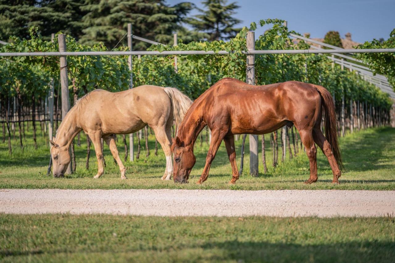 Agriturismo La Pertica Βίλα Costermano Εξωτερικό φωτογραφία