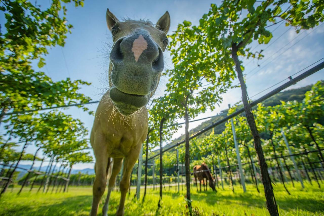 Agriturismo La Pertica Βίλα Costermano Εξωτερικό φωτογραφία