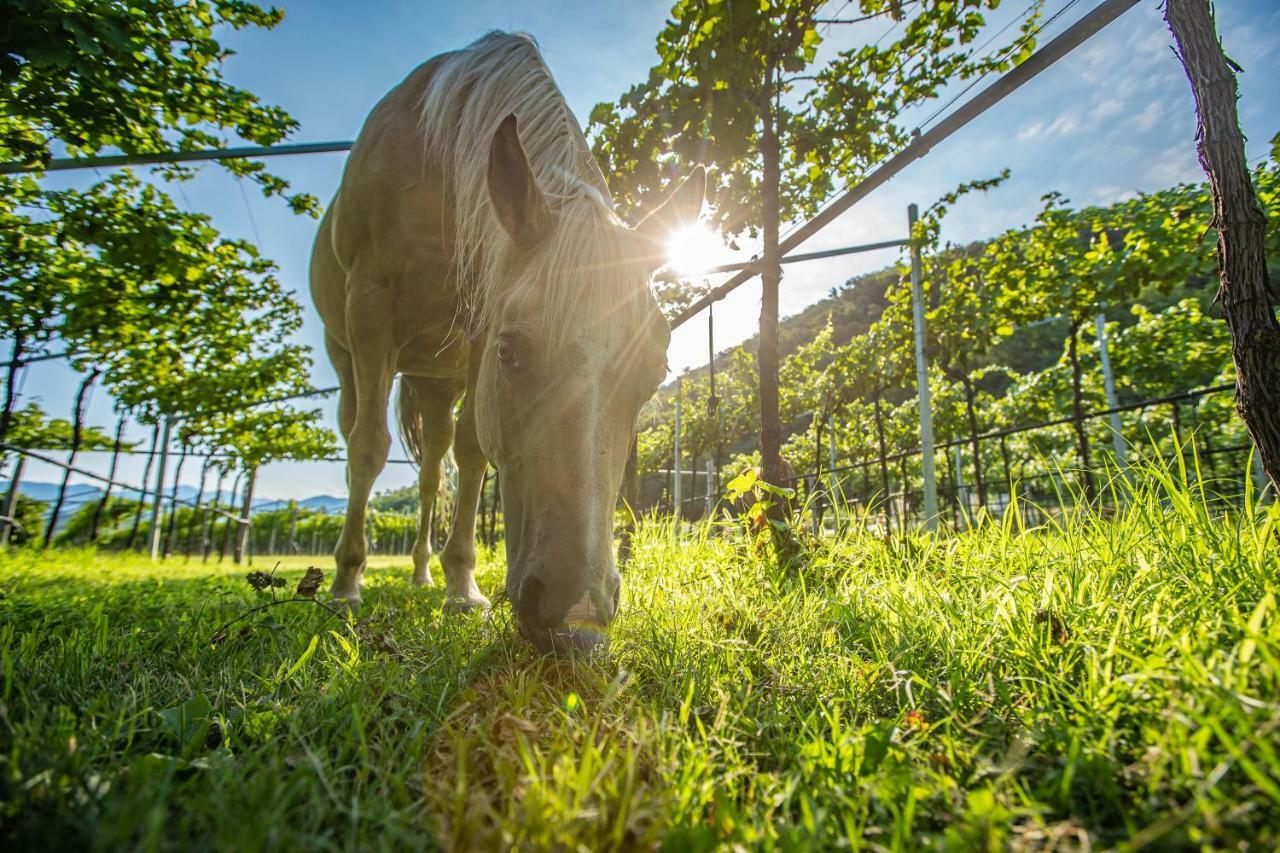 Agriturismo La Pertica Βίλα Costermano Εξωτερικό φωτογραφία