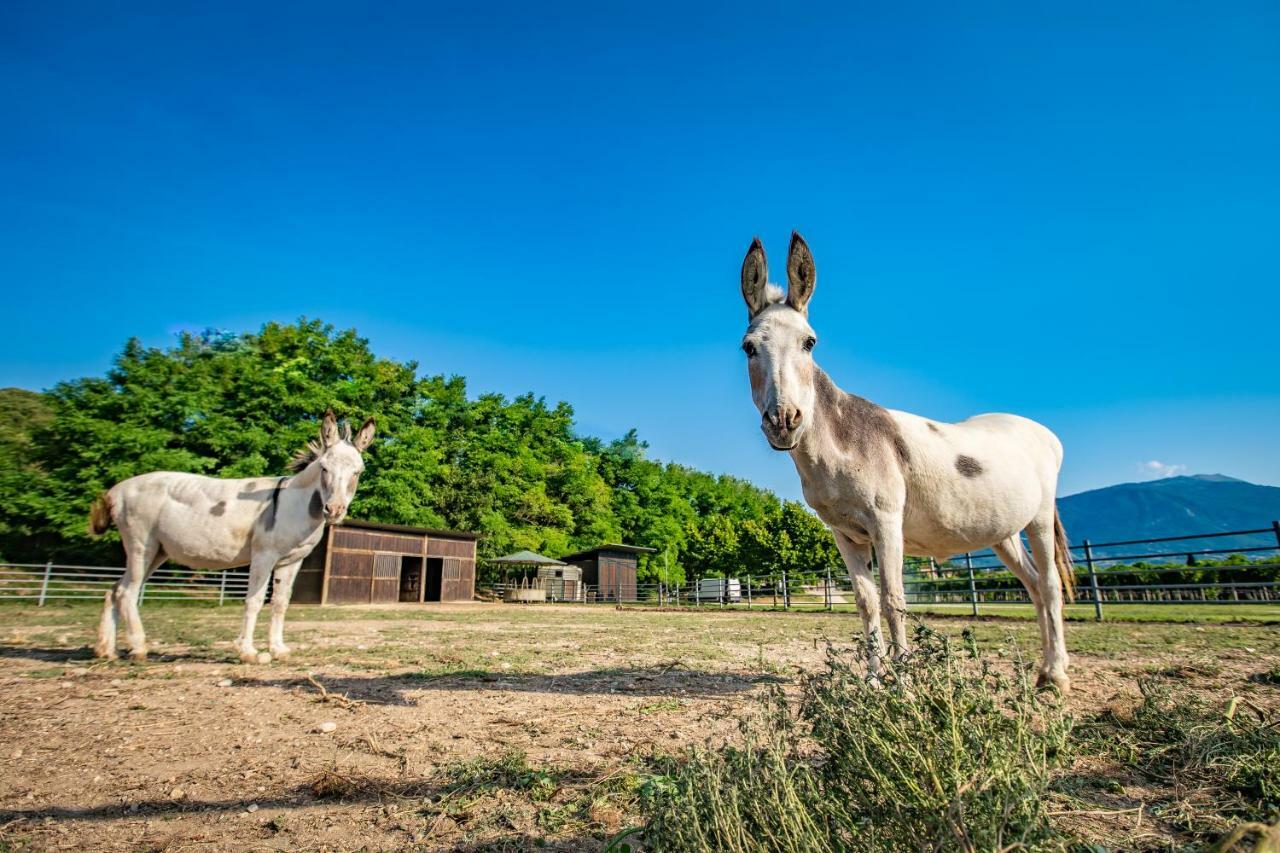 Agriturismo La Pertica Βίλα Costermano Εξωτερικό φωτογραφία